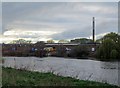 An April evening by the Trent