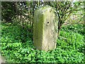 Old gatepost