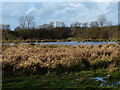 Small lake near the River Sence