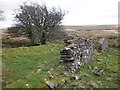 SS8242 : Remains of outbuilding at Larkbarrow by Roger Cornfoot