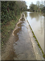 Grand Union Canal towpath after rain, Myton, Warwick