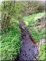 Bartley Brook, Bartley Green