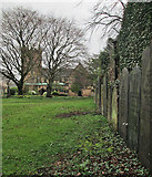 SK5349 : In Hucknall churchyard by John Sutton