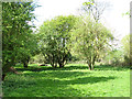 View across the site of St Botolph