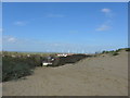 Looking from the car park footpath towards the wind farm