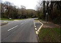 Bus stop in woodland, Cwmbran