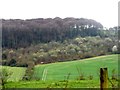 Looking towards Green End from Bledlow Ridge