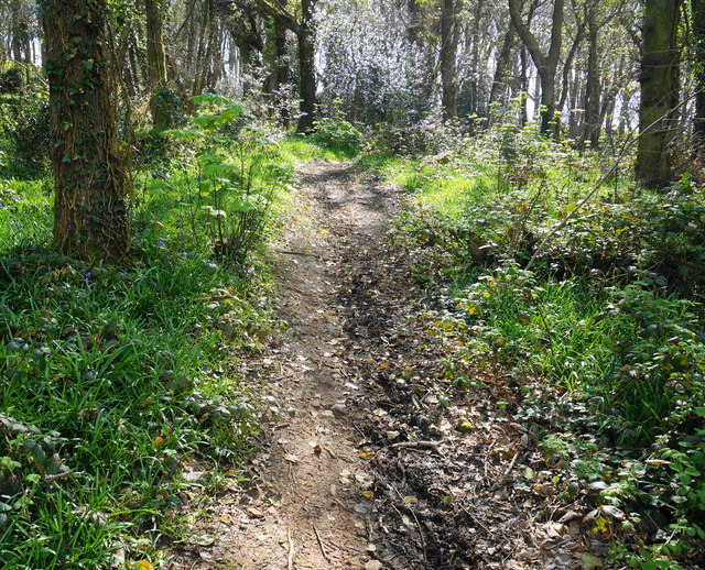 Footpath to Kingston in Wrinkle Wood