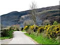 View south-westwards along Clonlum Road