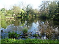 The lake in Hollydale Recreation Ground