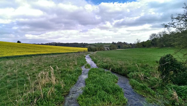 Watercourse, Whittonditch, near Aldbourne