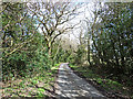 Lane near Beckside Farm