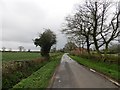 Minor road near Bockleton