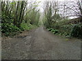 Isle of Anglesey Coastal Path at Llanfair PG