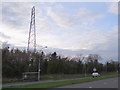 Bus stop and pylon on Bangor Road