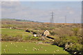 Neath Port Talbot : Countryside Scenery