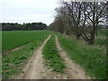 Farm track off Brigg Road