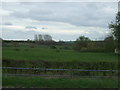 Farmland south of Nettleton Road