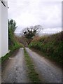 Path and Lane by Bethel Chapel, Llanddewi Velfrey