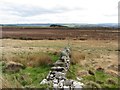 Wall at Muckle Moss