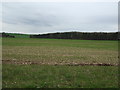 Crop field off Caistor Road