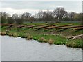 SE5906 : Steel piles on the Don riverbank [1] by Christine Johnstone