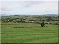 Field off Hollyhill Road