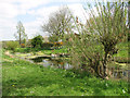 Pond beside Irmingland Road