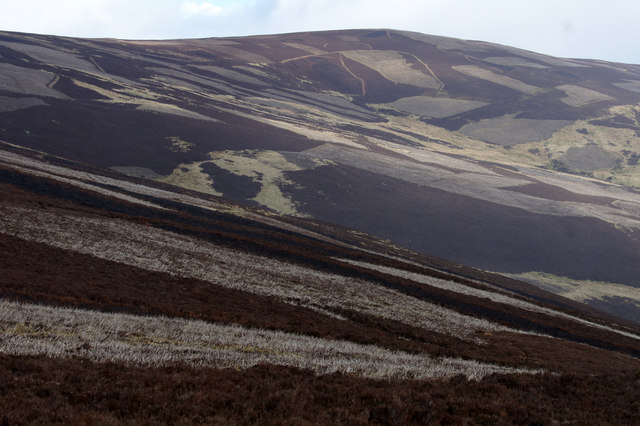 Grouse moorland on the southern flanks of Cat Law