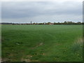 Farmland off Waltham Road