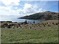 NR6181 : Tarbert Bay from Rubha nan Crann by Rob Farrow