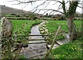 Headwater of the Flurry river from the Mill Road