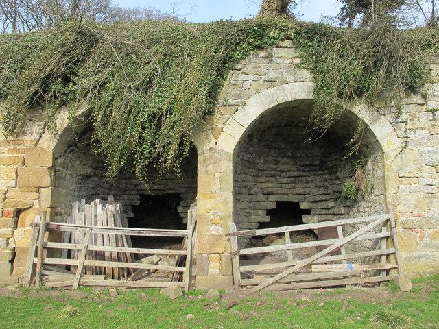 Birtley lime kiln - arches