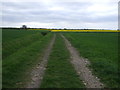 Farm track (footpath) near Peaks Top Farm