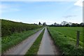 Approaching Rosecroft Farm