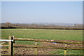 Farmland by Bedlam Lane