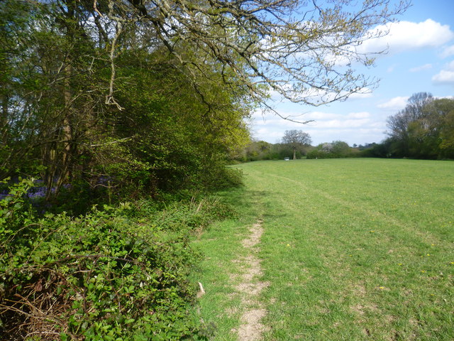 Bushy Wood, Sevenoaks (TN8 7AS) - area information, map, walks and more