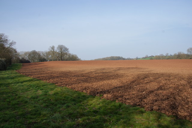 Ploughed field above Sidford Wood