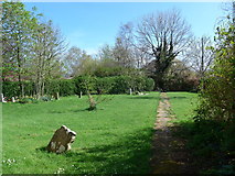 TR1032 : All Saints, Burmarsh: churchyard (i) by Basher Eyre