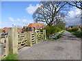 New housing on Burgh Lane