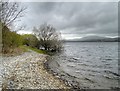 NY2128 : Bassenthwaite Lake at Beck Wythop by David Dixon