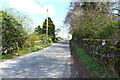 Road to Castle Douglas near Threave Gardens