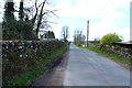 Road to Rhonehouse near Threave Gardens