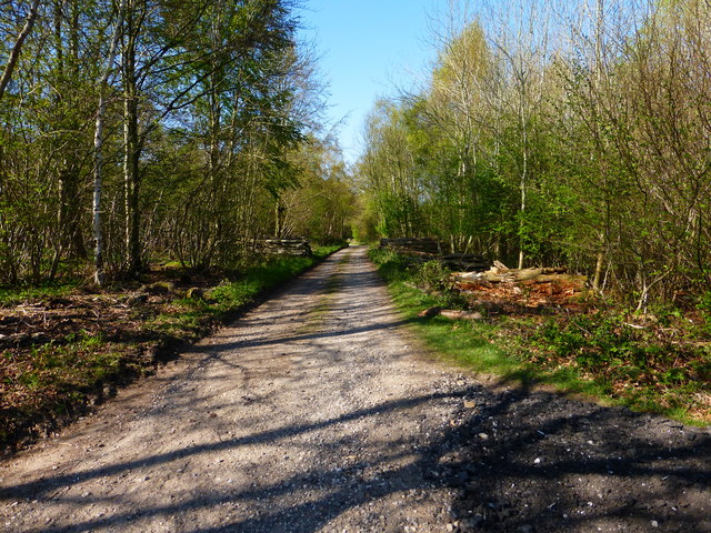 Farm track in Hen Wood © Shazz :: Geograph Britain and Ireland