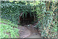 Culverted "brook" in Melton Country Park