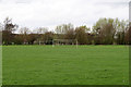 Playing fields, Melton Country Park