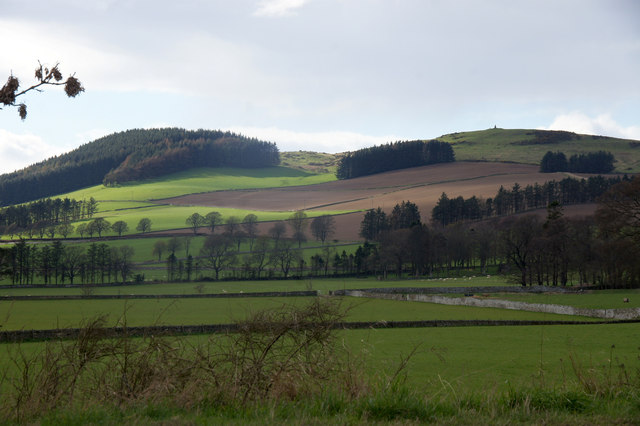View to West Mains Hill from North Dronley, Auchterhouse