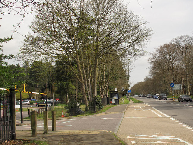 Bus stop on London Road