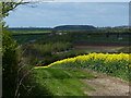 Farmland near Melton Mowbray