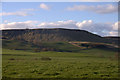 Lundie Craigs from Ledyatt